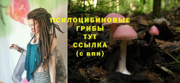 сатива Алексин