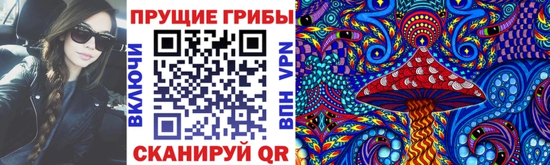 Галлюциногенные грибы Psilocybine cubensis  Рыбное 